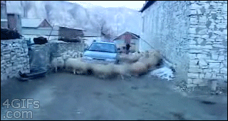 zilinaa zilina :D